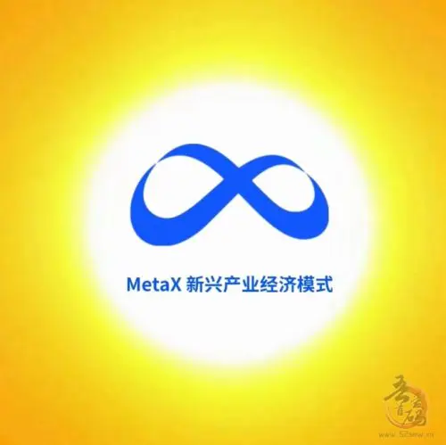 MetaX新兴产业济经模式升态系統标准荣获國家标准化委元会备安插图1