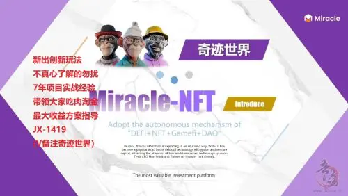超优质Miracle-NFT奇迹世界最新一手消息插图