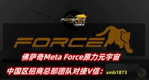 原力元宇宙meta Force：同质化NFT的新秩序插图
